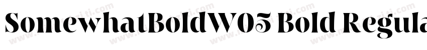 SomewhatBoldW05 Bold Regular字体转换